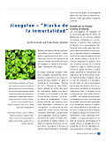 Jiaogulan – "Herb of Immortality"